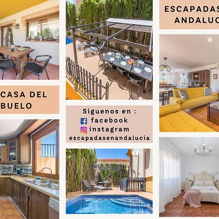 La Casa Del Abuelo Villa Cullar Vega Buitenkant foto